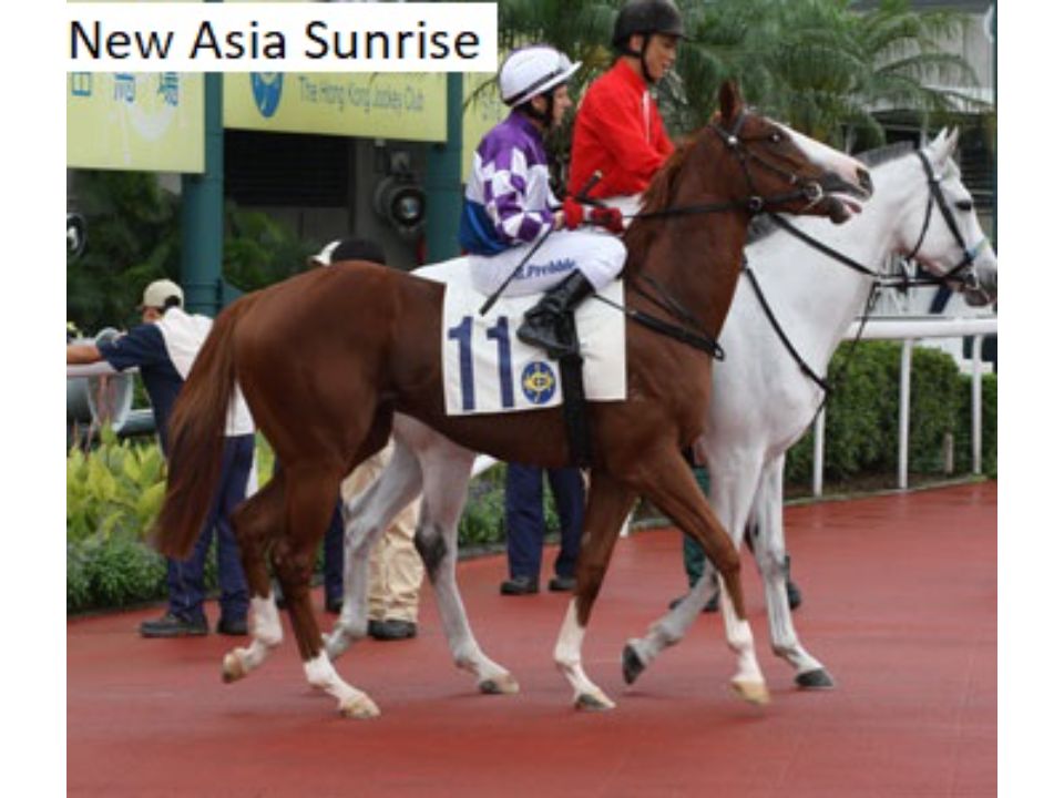 New Asia Sunrise T268